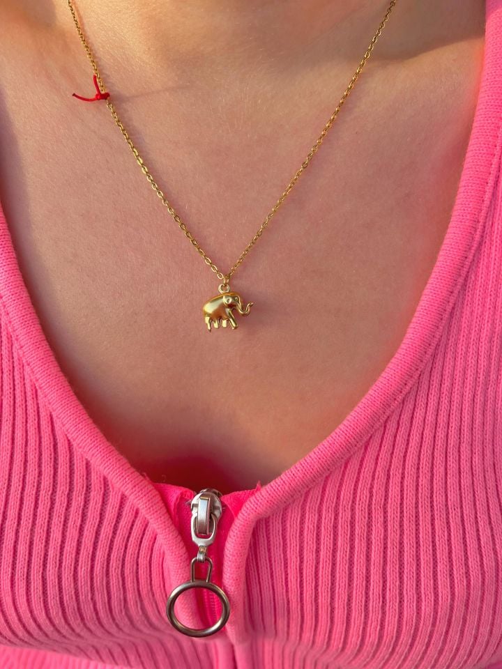 316L Çelik Şans Fili Kolye